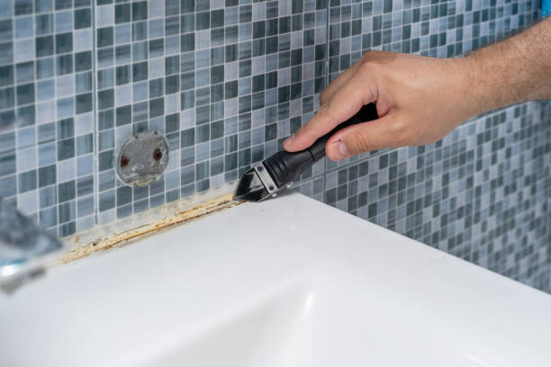 Best Black Mold Removal  in Highland Acres, DE
