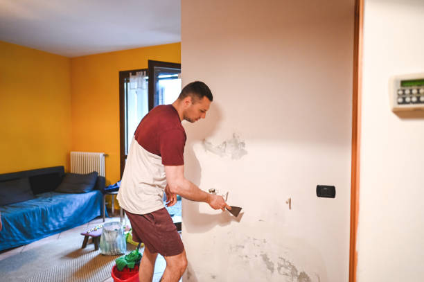 Best Mold Damage Repair  in Highland Acres, DE